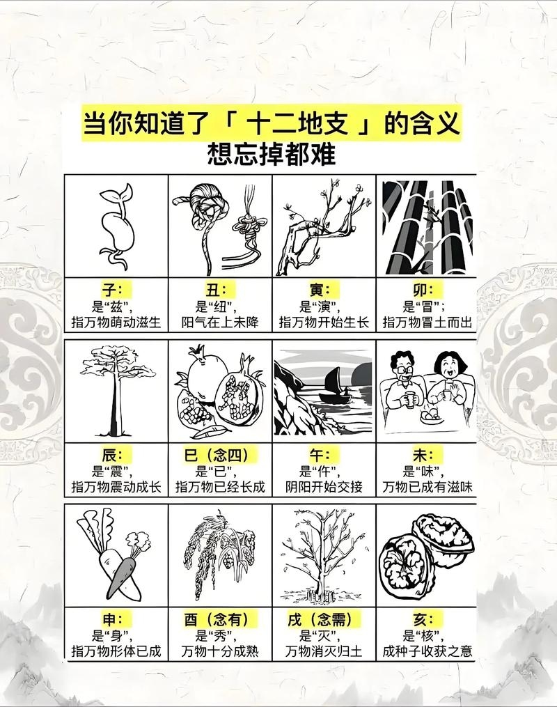 12地支，中华智慧与自然哲学的交融插图
