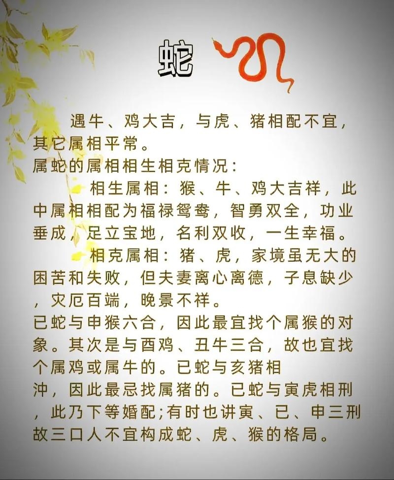 属蛇的最佳配偶,探索生肖相性与情感和谐插图 属蛇的最佳配偶,探索生肖相性与情感和谐插图