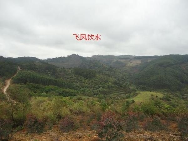 祖坟风水，人丁兴旺的考量与布局原则插图