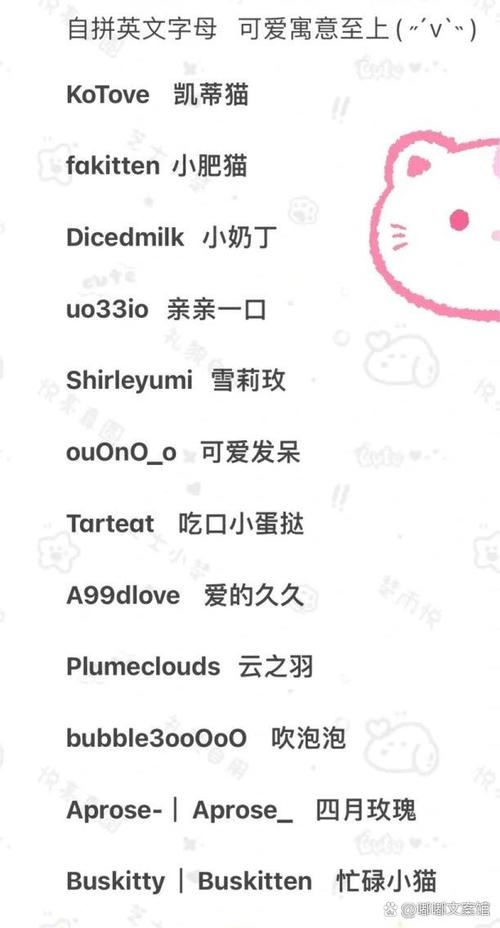 微信号改英文名，解锁现代人高效社交新玩法插图