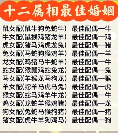 属相婚配与十二生肖年龄表，探索古老智慧与现代生活的交融插图