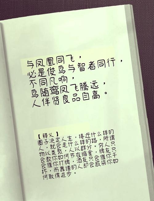 凤翔交友，诗意描绘与寓意解读插图