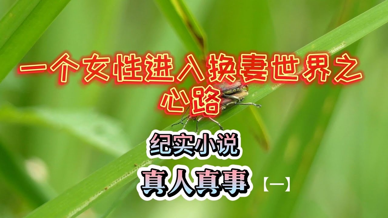 肥西交友，一条连接心灵的星光之路插图