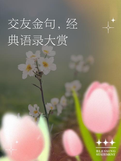 德惠交友，寻找心灵归处插图