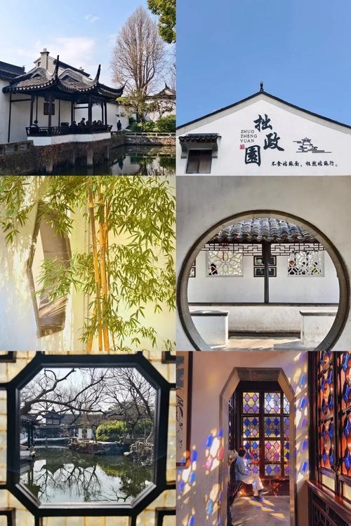 苏州交友，在古典与现代交织的园林中寻觅心灵的归宿插图