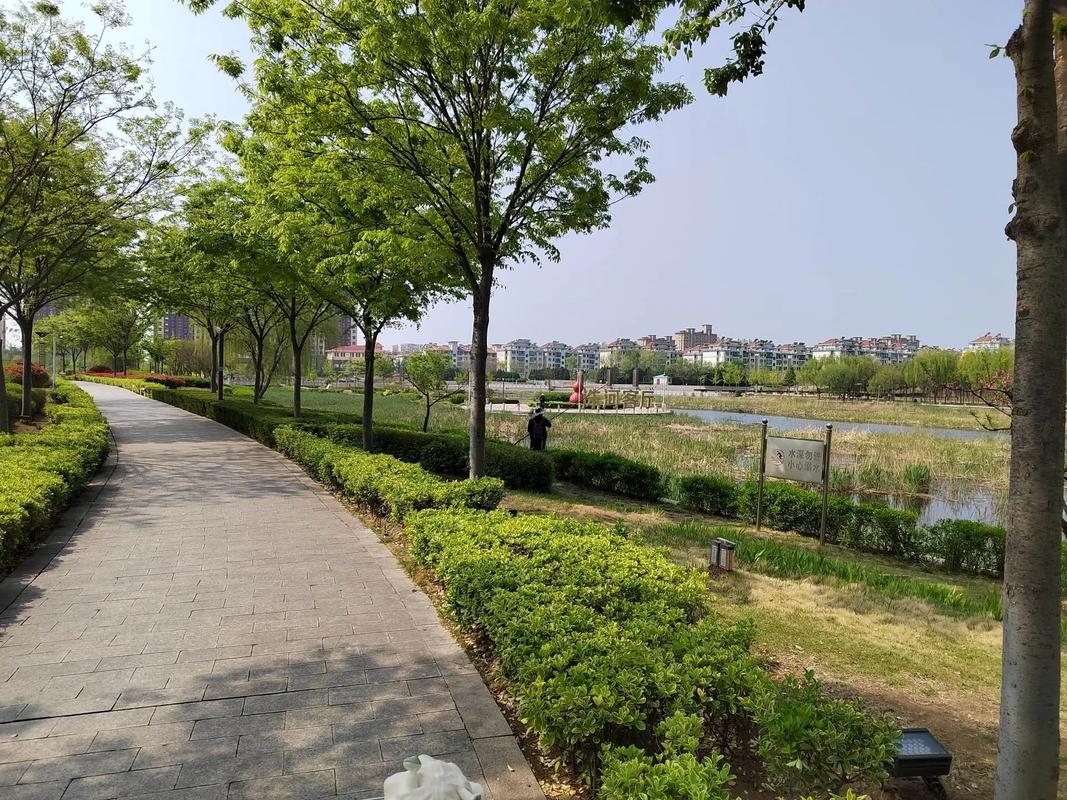 莱西交友，在美丽小城编织温暖的人际网插图