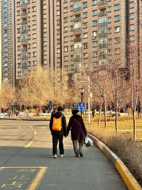 潍坊交友，探索城市中的温情邂逅插图