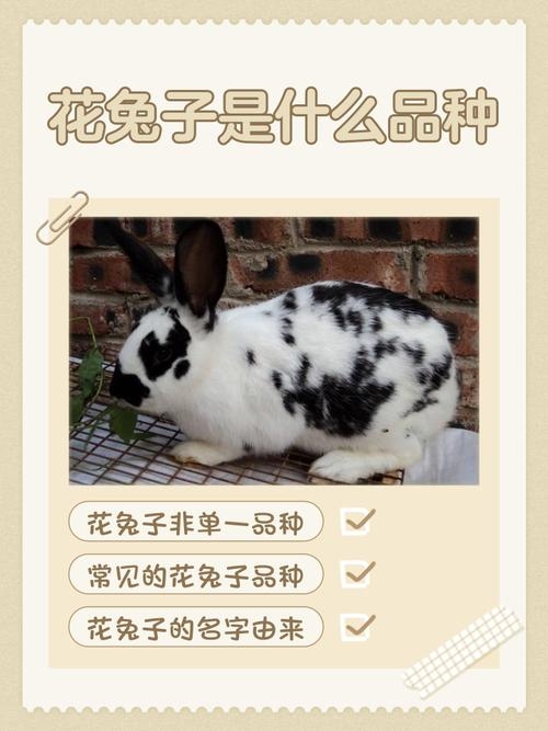 雾里看花，朦胧之美——解读生肖兔的隐逸与神秘插图