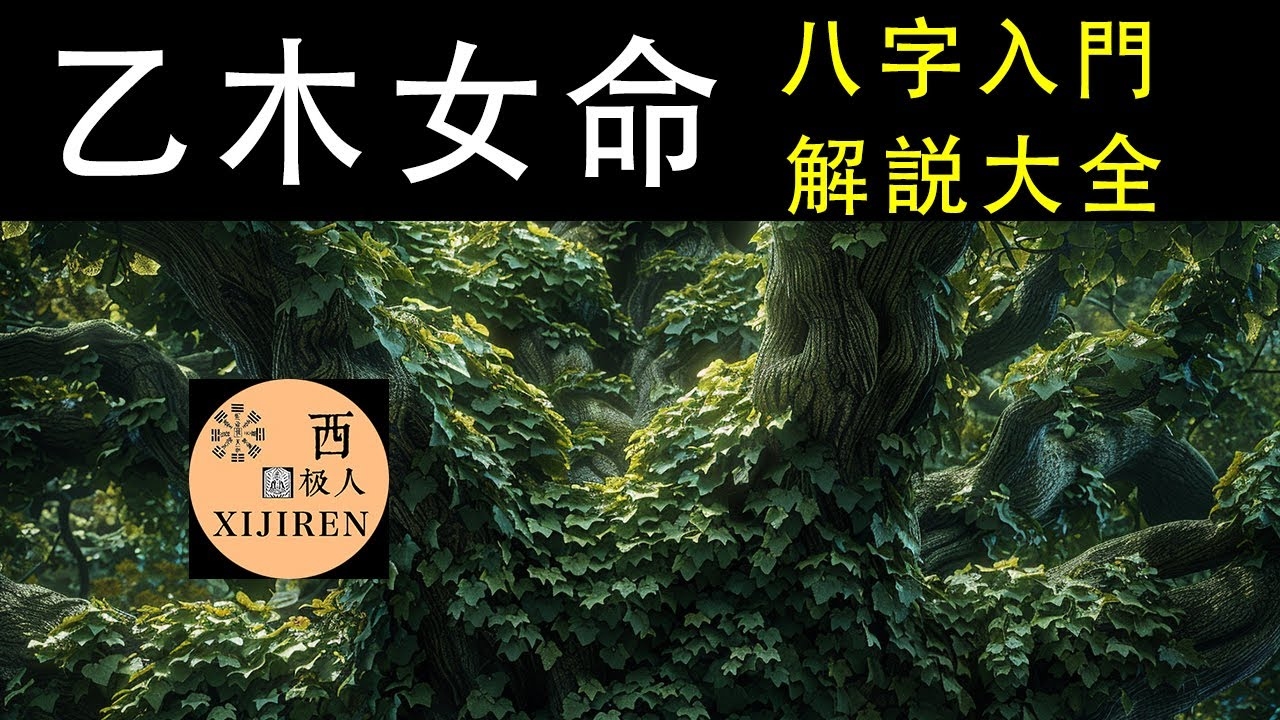 杨柳木命女性，性格解析与情感建议插图