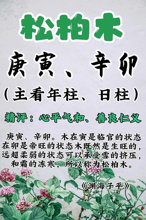 松柏木命缺水，任芳墨、任津辉等名字寓意吉祥。插图