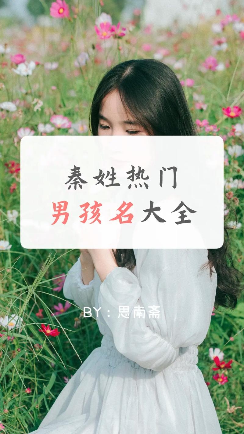 秦姓名人，跨越时空的璀璨星河插图