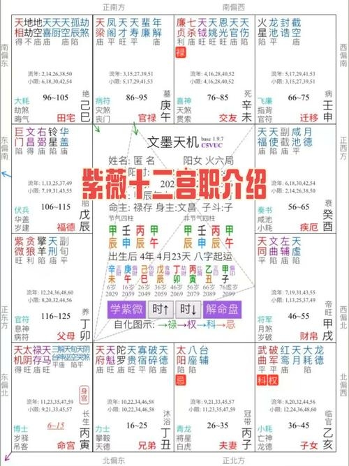 紫薇命盘,解析宫位影响,洞悉人生运势插图 紫薇命盘,解析宫位影响,洞悉人生运势插图