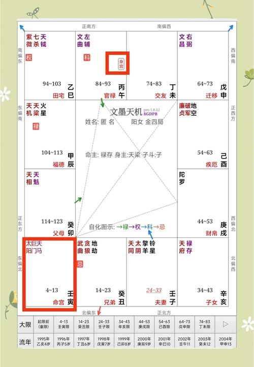 紫薇命盘解析，中年财运亨通，晚年名利双收插图