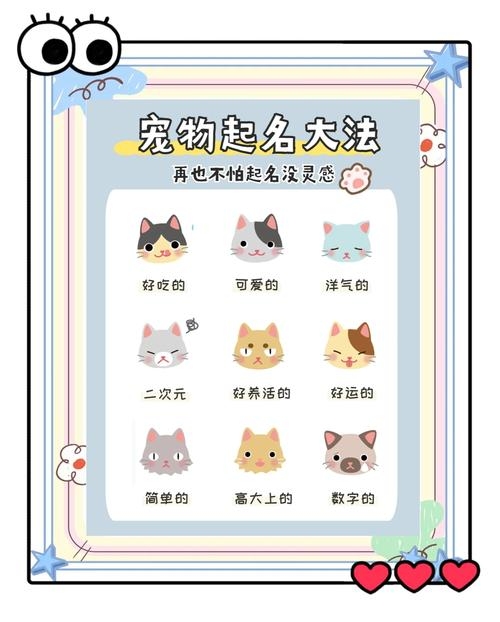 萌宠名之记，如何为可爱宝贝打造专属名字插图