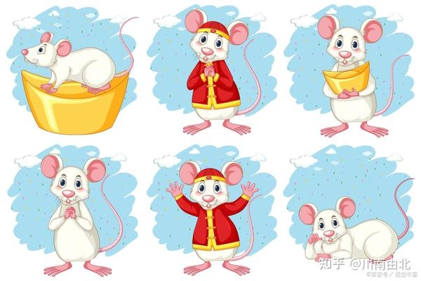 属鼠女的最佳婚配，探索生肖相性与幸福婚姻插图