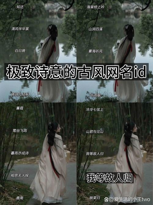 妩媚女网名，一袭清华风华，邂逅诗意之名境插图