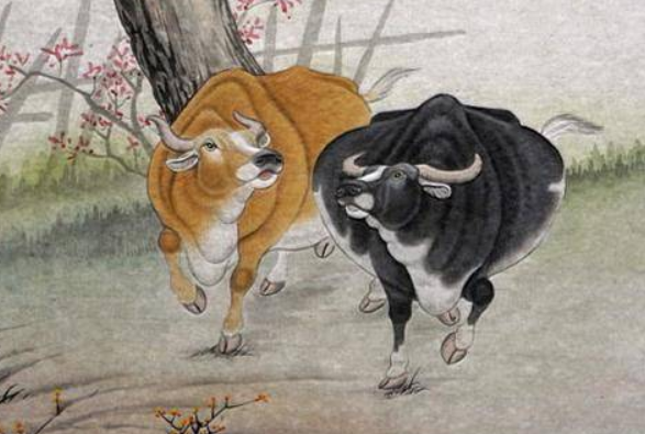 97年属于什么生肖年，探寻属牛之年的独特魅力插图