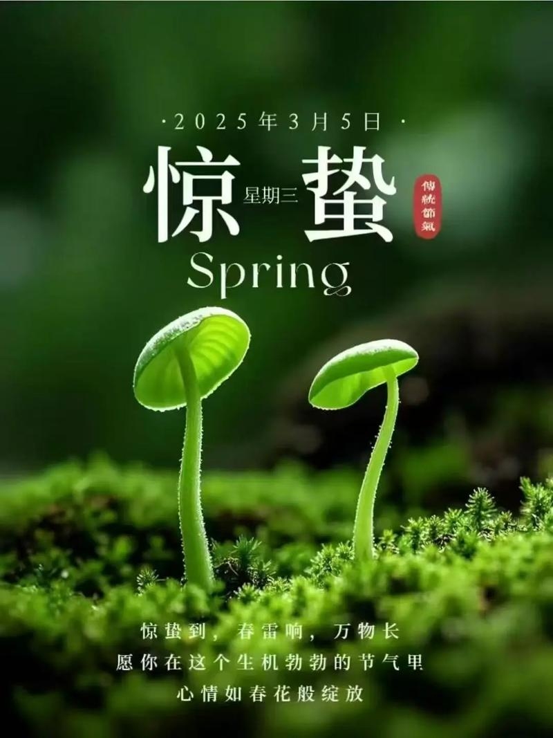 20年惊蛰日期揭晓，阳历3月5日插图