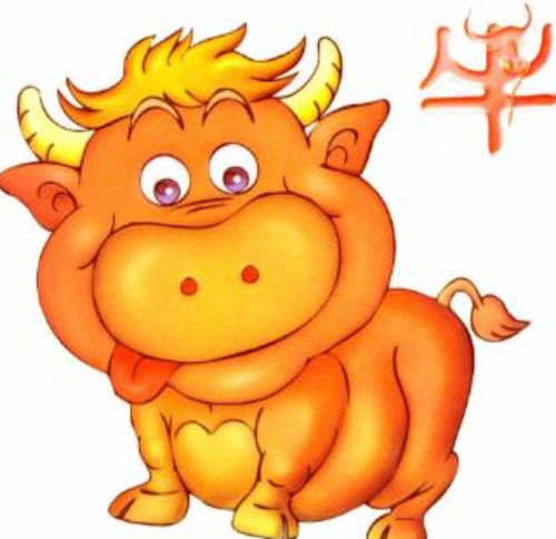 97年属牛，今年26岁。插图