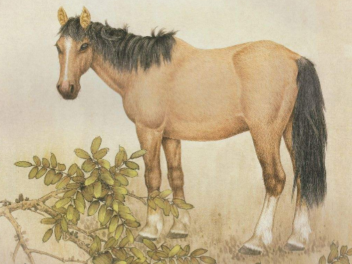 90年属马的与1997年生牛的相处之道插图