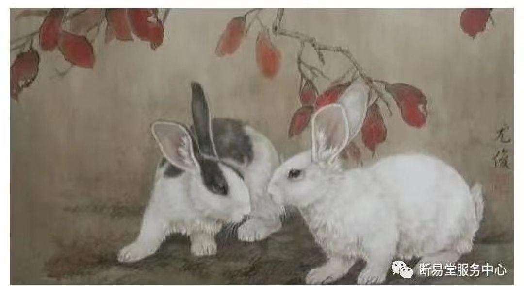 87年属兔，温婉与坚韧的完美结合插图