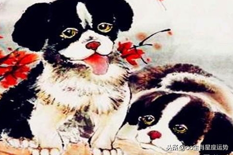 属狗女最佳婚配,探索生肖相合的奥秘插图 属狗女最佳婚配,探索生肖相合的奥秘插图