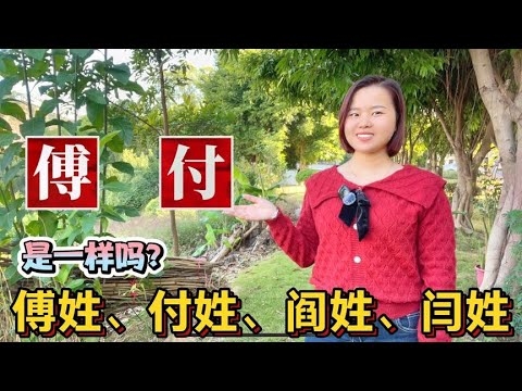 付姓起名，独特魅力与文化传承插图