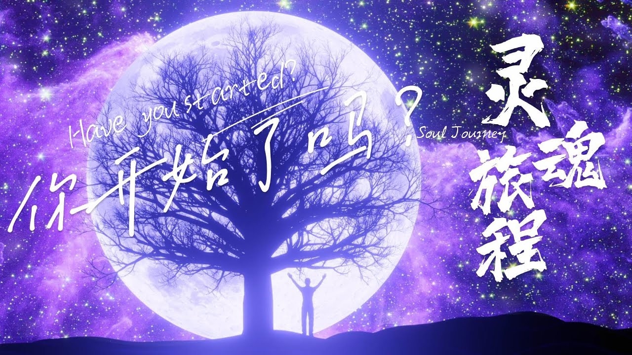 探寻前世，一次灵魂的深度探索插图