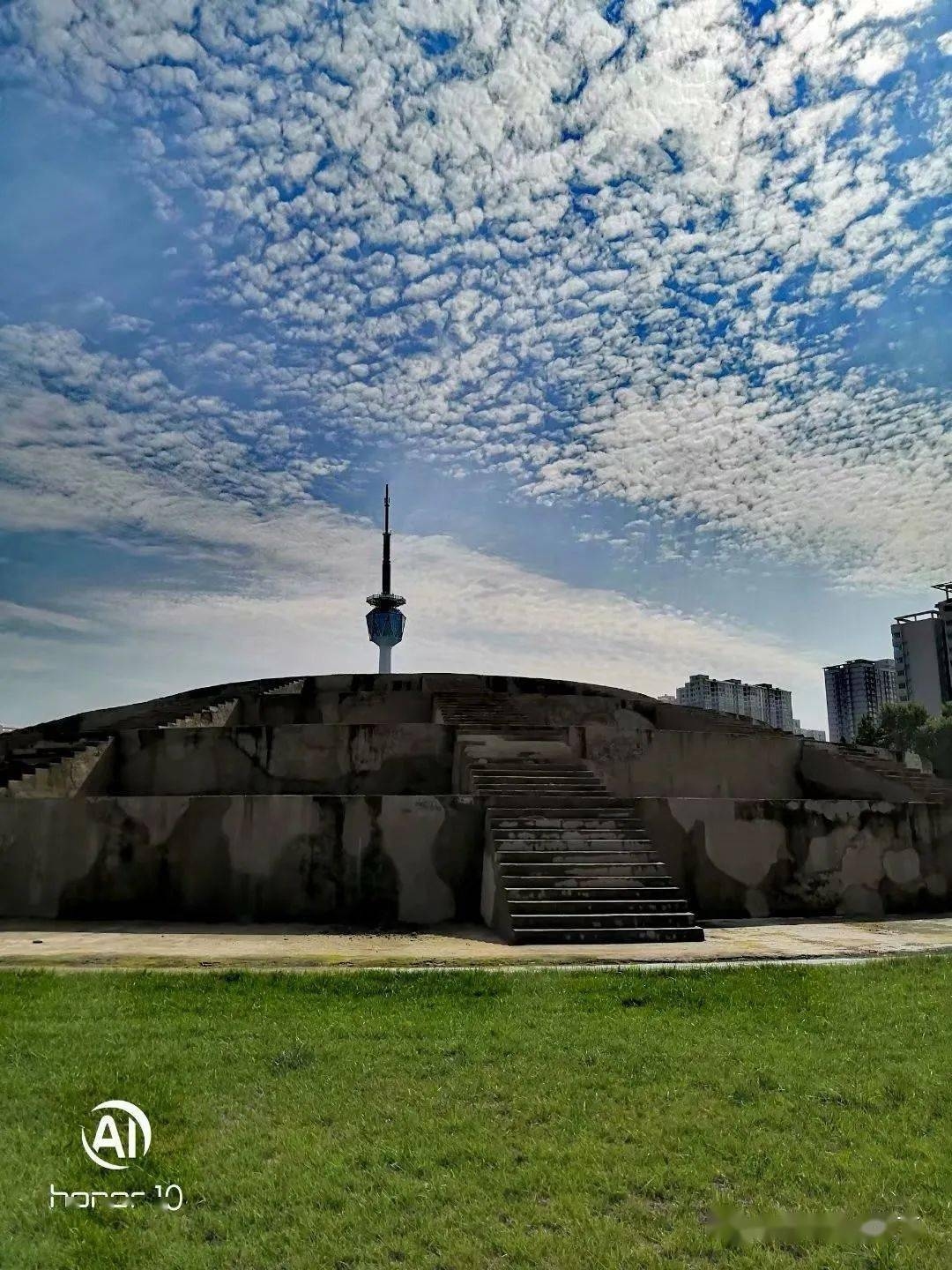 岷县情缘，一场跨越地域的征婚之旅插图