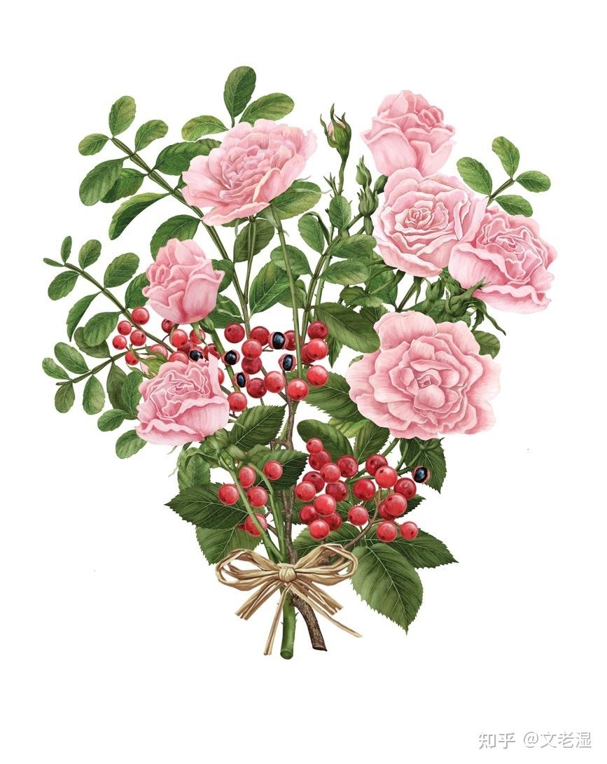 甘心情愿，在生肖的温情脉脉中，绽放独特生命光彩插图