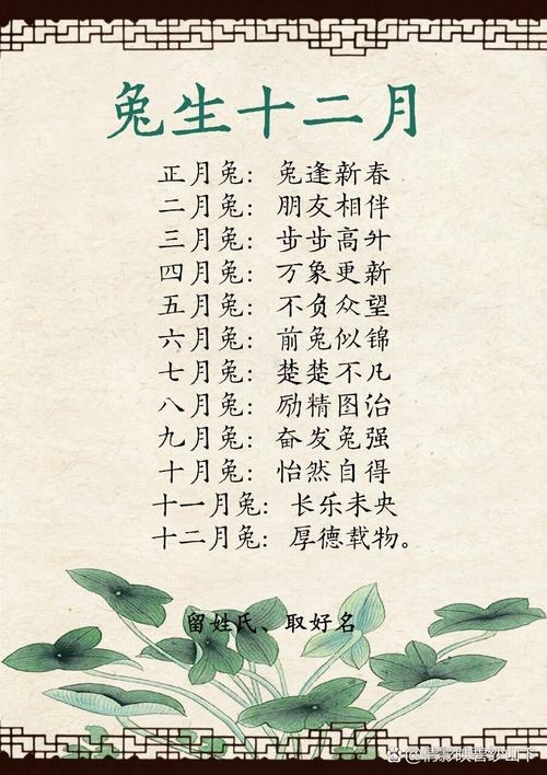 属兔人出生月的命运，月色下的静谧与辉煌插图