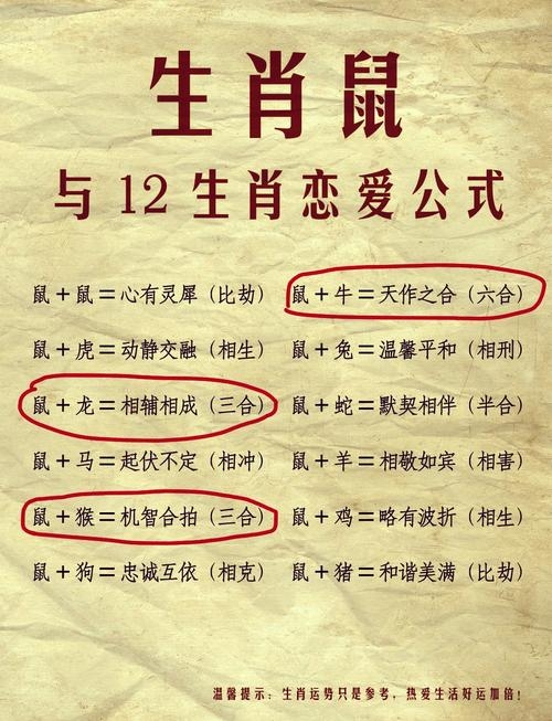 属鼠人婚姻与命运，贵人助力，情感需经营插图