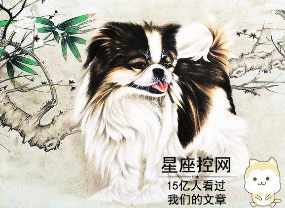属狗人立春禁忌，传统智慧与现代生活的和谐共融插图