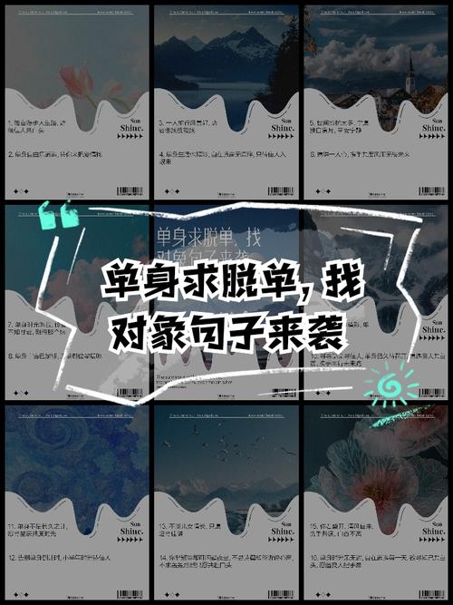 探寻身边的单身，寻找归属与自在插图