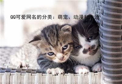 萌系少女，QQ网名精选集锦插图