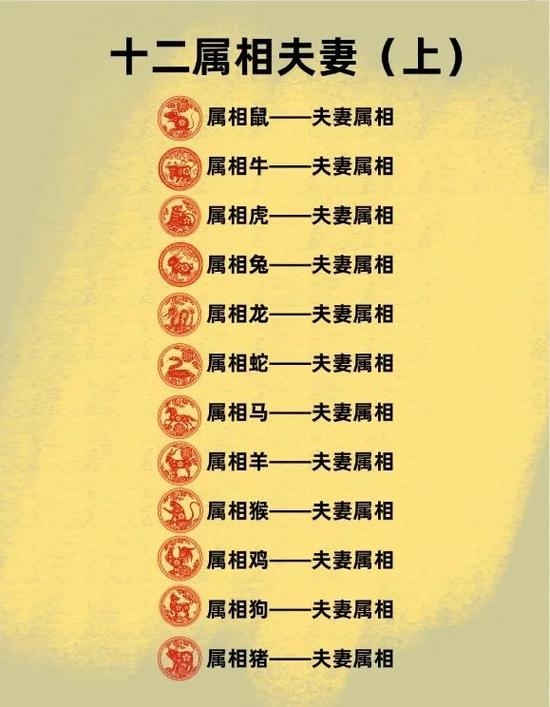 属相速配，古老智慧在现代恋爱中的微妙应用插图