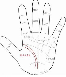 探索手相中的生命线，解读命运的微妙线索插图