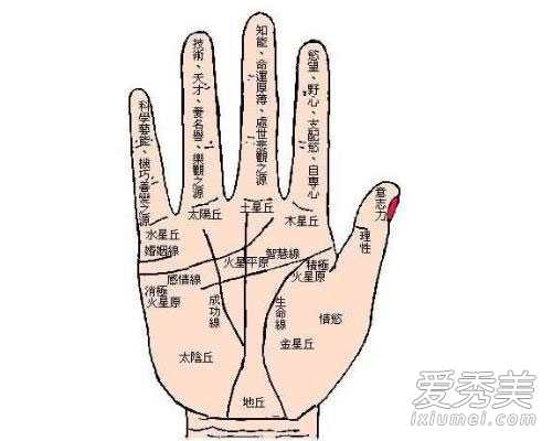 揭秘通关手手相，解读命运之门的钥匙插图