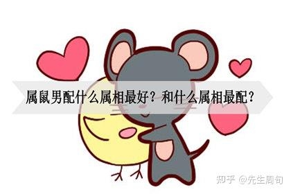 属鼠天蝎男的性格,冷静敏锐,感情丰富但独立插图 属鼠天蝎男的性格,冷静敏锐,感情丰富但独立插图