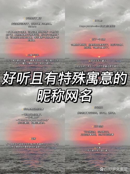 揭秘网名背后的故事，网名查询的趣味与意义插图