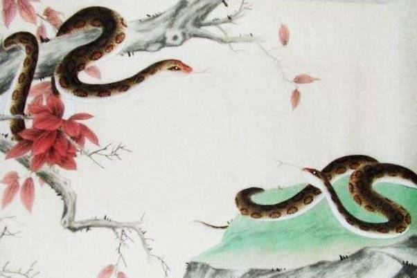蛇形象暗藏巧妙之谋，十二生肖中隐藏着众多不作之人。插图