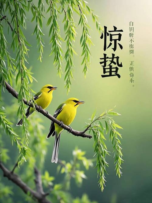 惊蛰，春耕序幕，万物复苏的希望之节插图