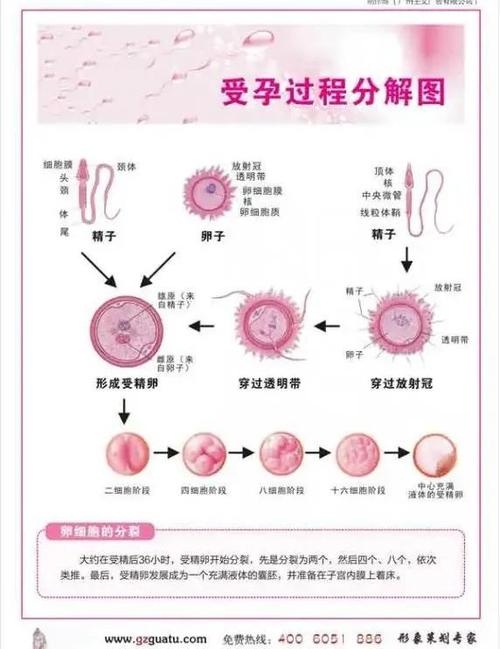 酝酿，从微妙到壮阔的孕育过程插图