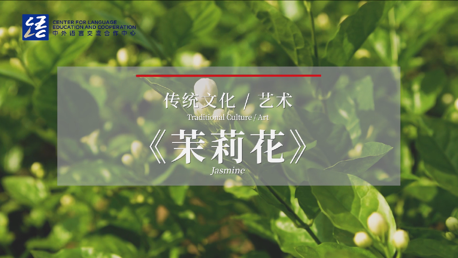 探索蕊的拼音世界，花语与文化的交织插图