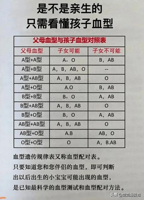 血型鉴定，科学基础与亲子关系分析插图