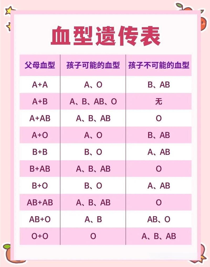 B型血夫妻生育，孩子可能出现的两种血型解析插图