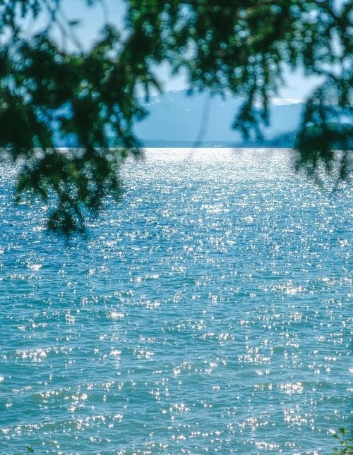 粼粼,光影流转中的时光质感插图 粼粼,光影流转中的时光质感插图