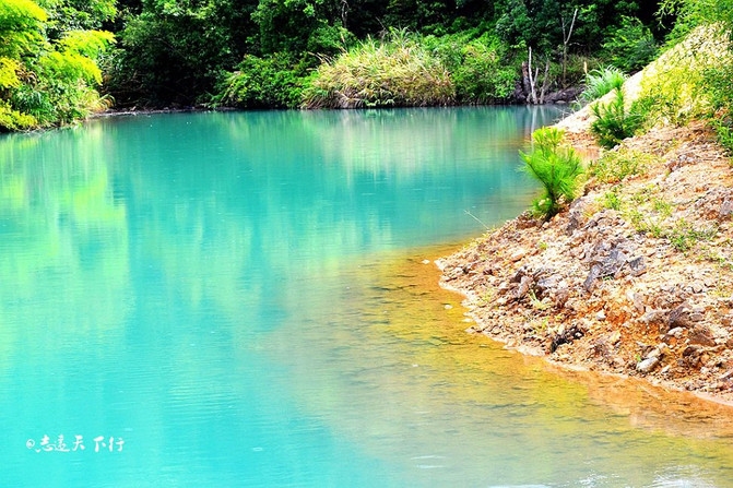泗洪征婚，在美丽水乡寻找心灵的归宿插图