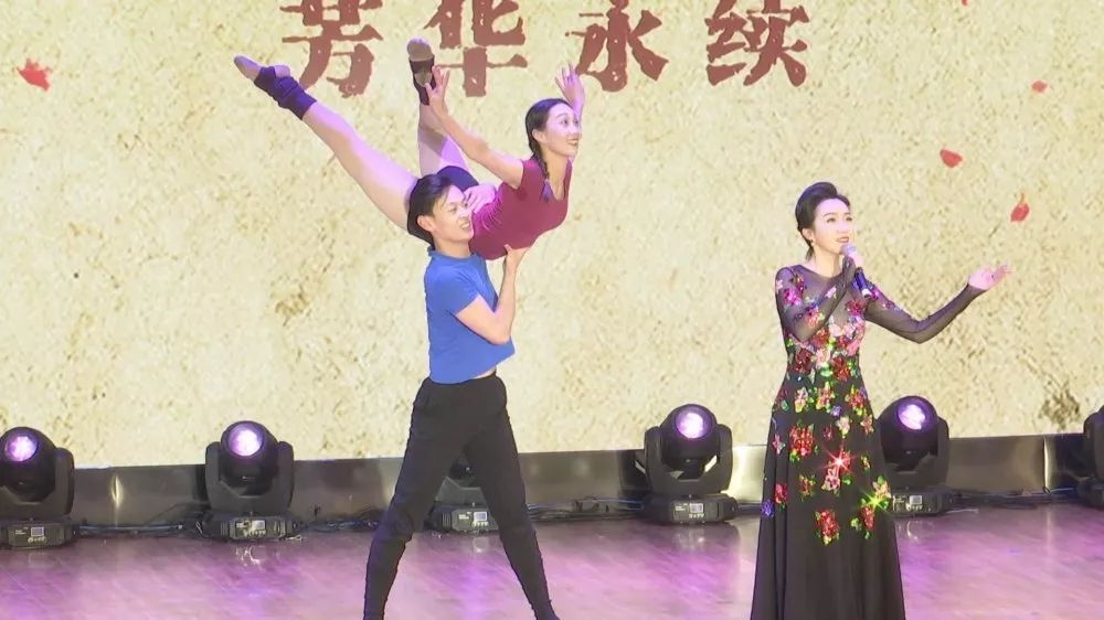 凤翔征婚，跨越时空的浪漫邂逅插图