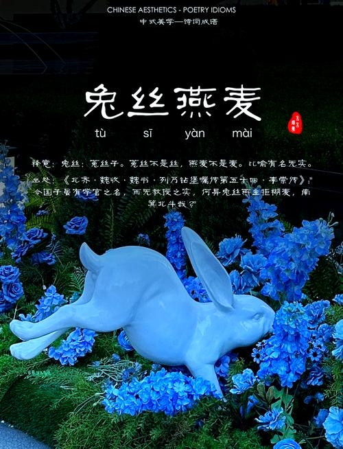 兔丝燕麦生肖相关插图